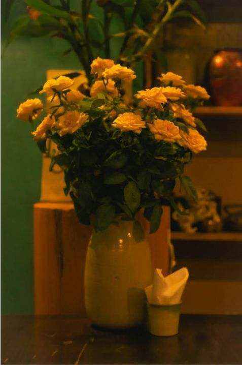 Wattle arrangement