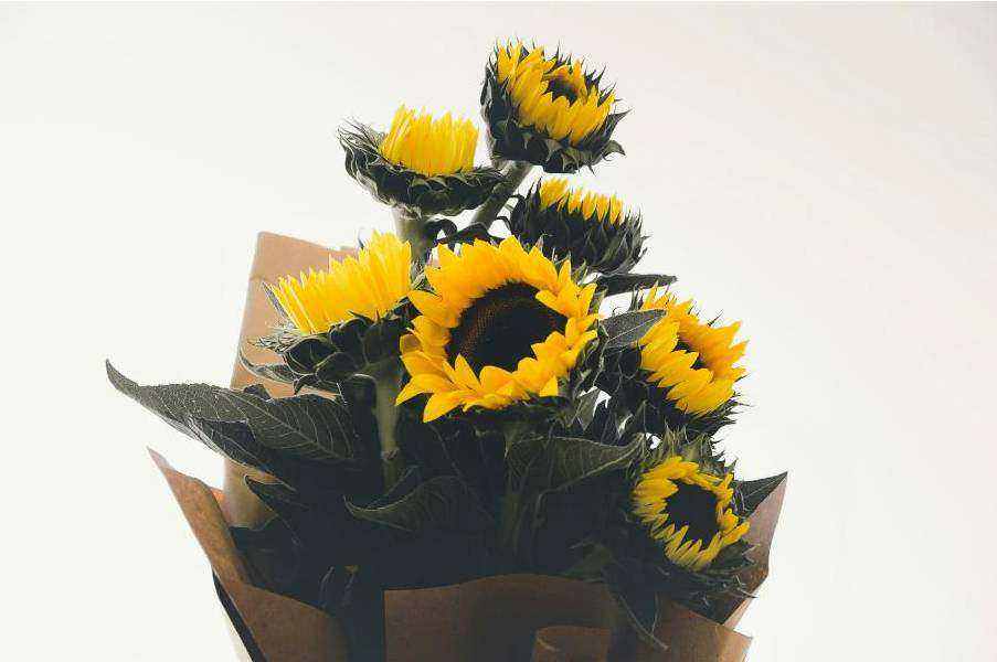 Ikebana arrangement background